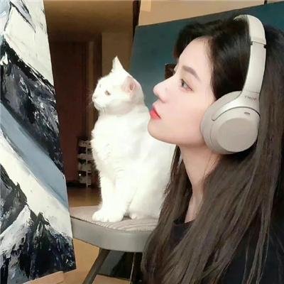变调的灰姑娘